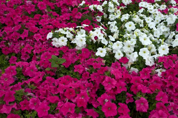 Serrurier annecy : intervention d'urgence sous 30 minutes