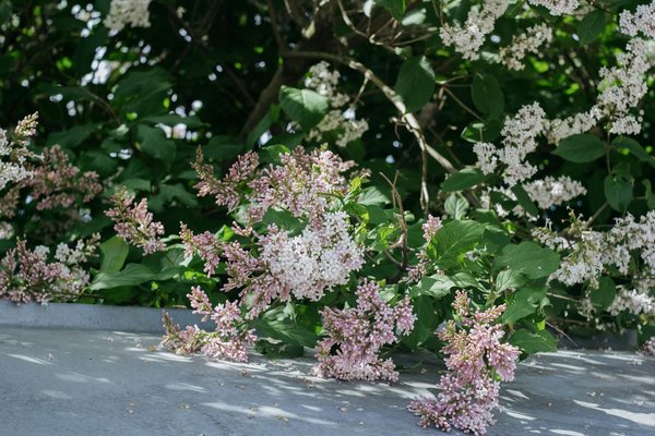 Choisir sa lampe torche : lumens et ergonomie