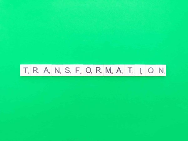 Quels sont les moyens de transformer un balcon en mini-serre pour plantes ?